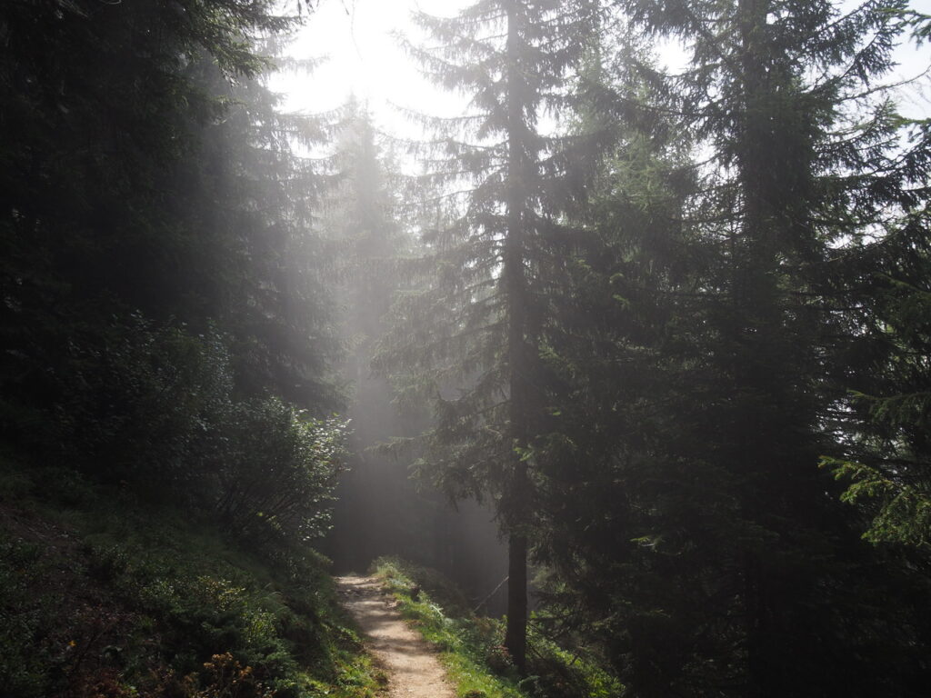 vroege ochtendwandeling